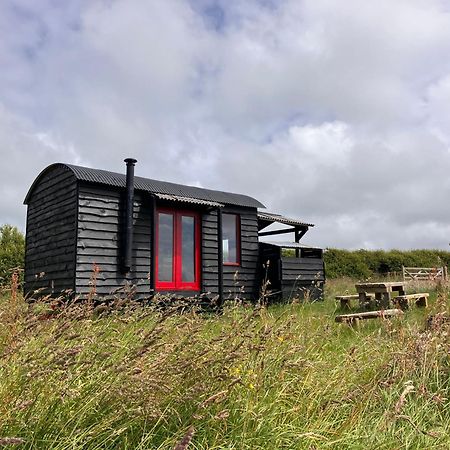 Shepherds Hut In A Private Meadow With Sea Views 哈特兰 外观 照片