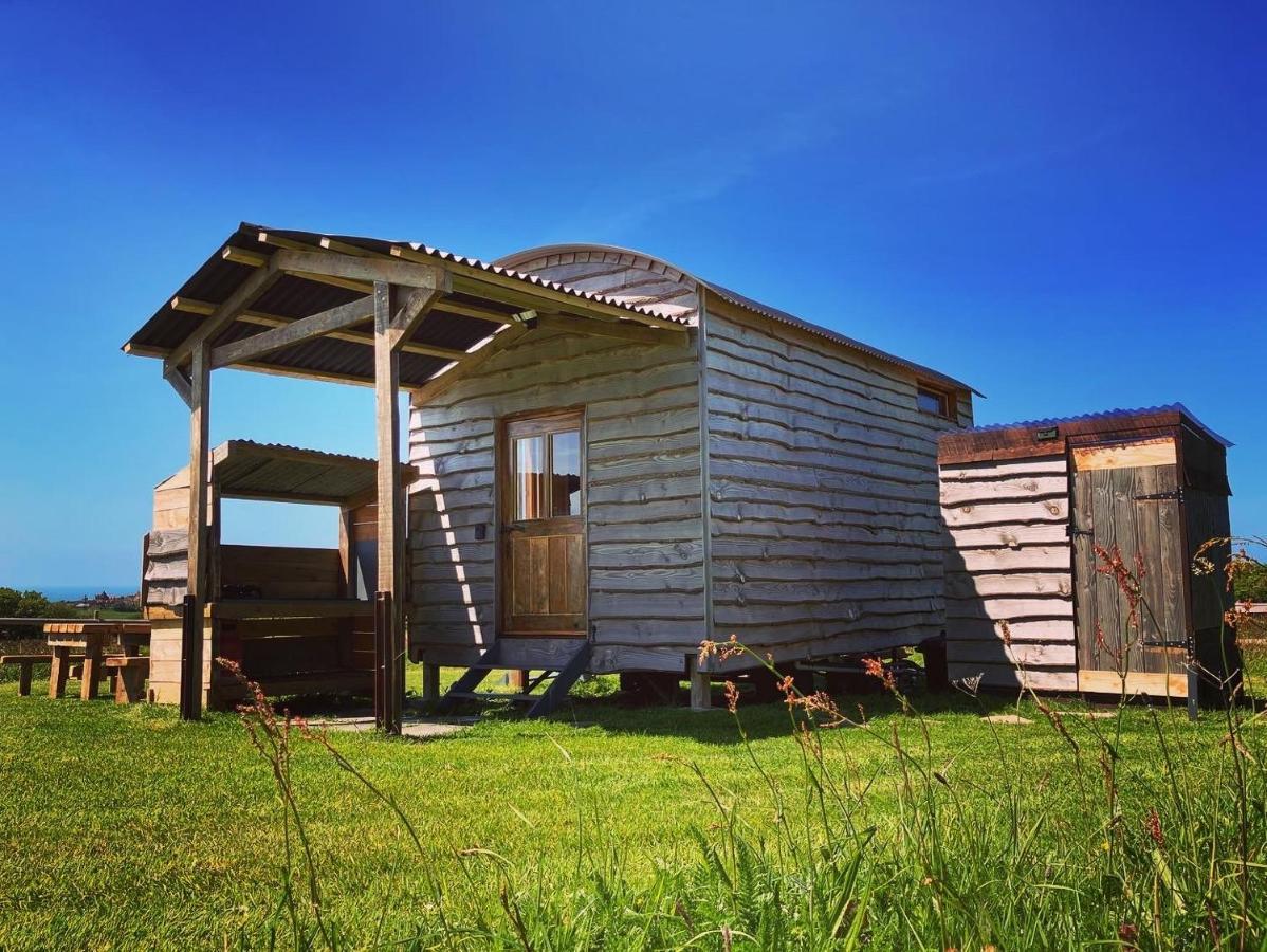 Shepherds Hut In A Private Meadow With Sea Views 哈特兰 外观 照片