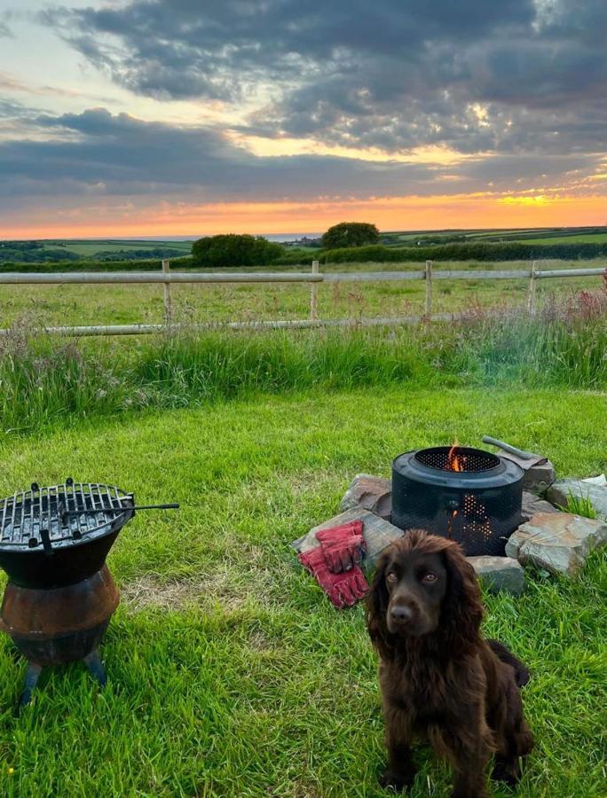Shepherds Hut In A Private Meadow With Sea Views 哈特兰 外观 照片