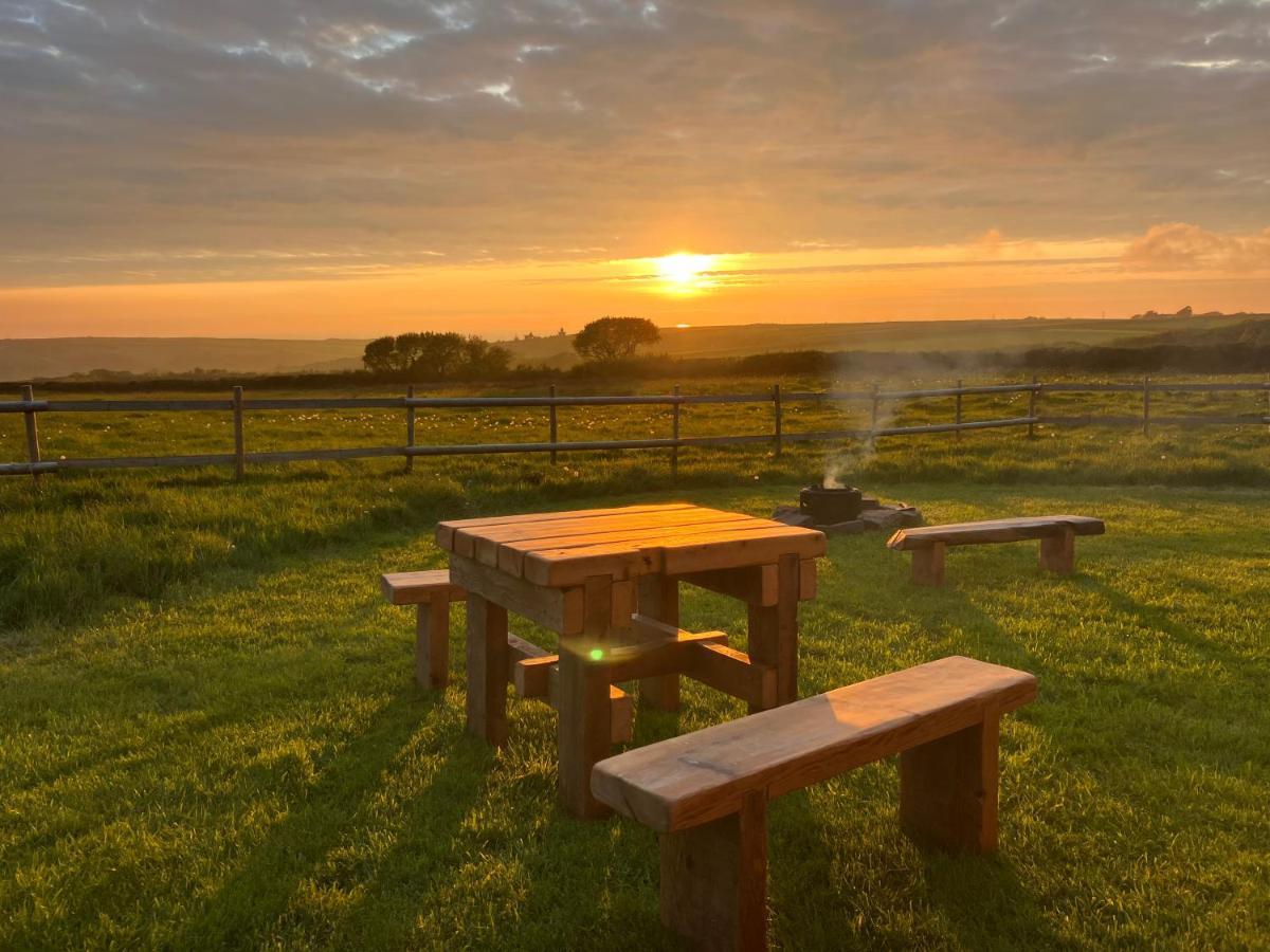 Shepherds Hut In A Private Meadow With Sea Views 哈特兰 外观 照片
